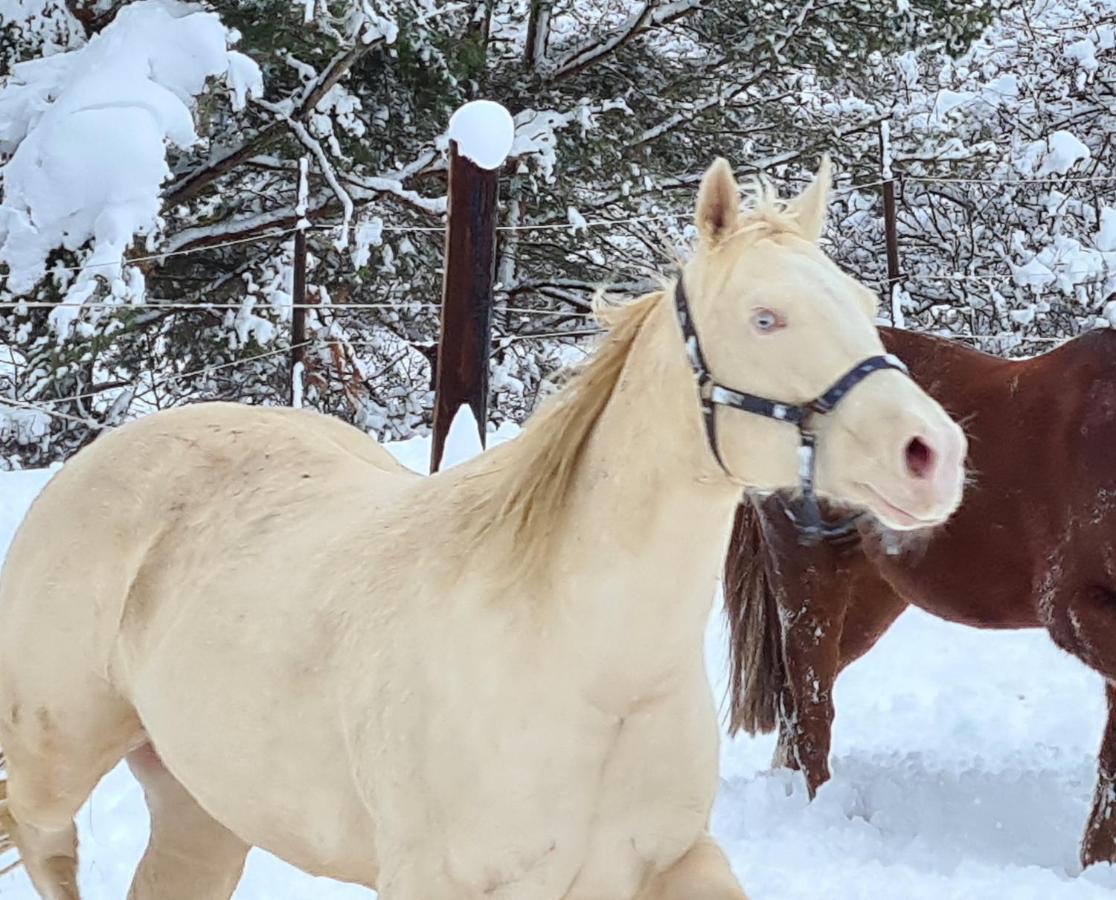 Haras De Seranonヴィラ エクステリア 写真