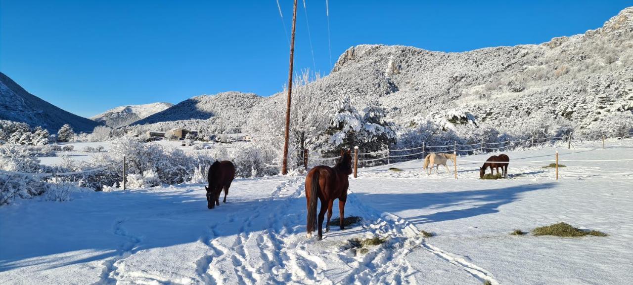 Haras De Seranonヴィラ エクステリア 写真