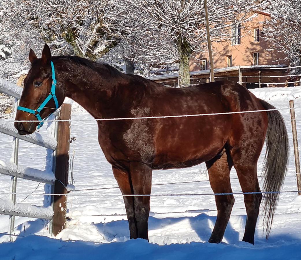 Haras De Seranonヴィラ エクステリア 写真